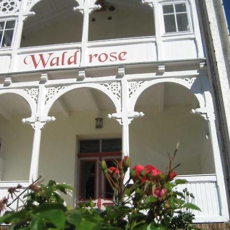 Pension Waldrose Sellin  Ngoại thất bức ảnh